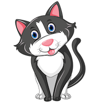 15.AaRON%20JUDGE.min